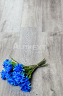 Замковая Кварц-виниловая плитка Alpine Floor Classic  Ясень Серый (ECO134-5) 43 класс