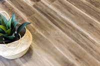 Кварц-виниловая плитка Alpine Floor ULTRA  (ECO5-12) 34 класс